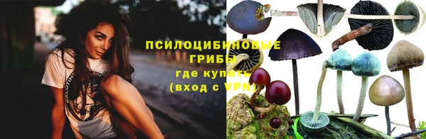стаф Каменск-Шахтинский