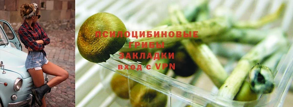 COCAINE Каменка