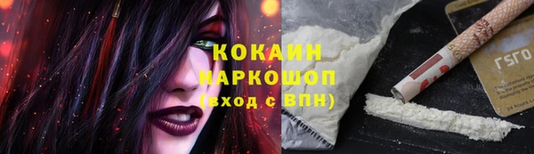 скорость Каменногорск