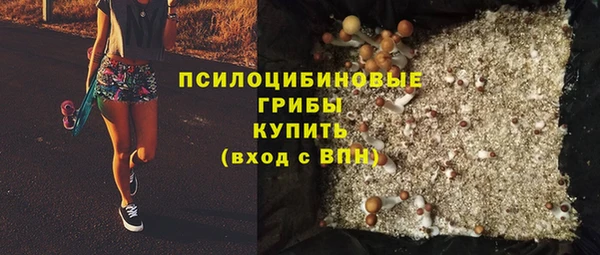 стаф Каменск-Шахтинский