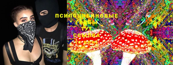 скорость Каменногорск
