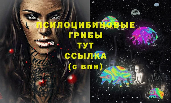 скорость Каменногорск