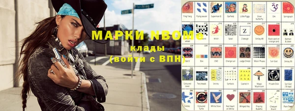 стаф Каменск-Шахтинский