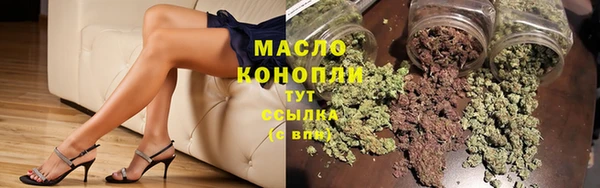 скорость Каменногорск