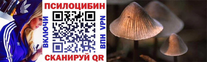 Псилоцибиновые грибы Psilocybine cubensis  Купить закладки  Геленджик 